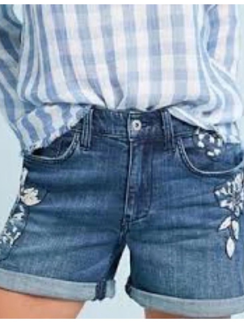 Anthropologie Pilcro Slim Boyfriend Embroidered Denim Shorts 25